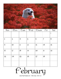 February 2025 Picture Calendar