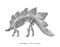 Stegosaurus