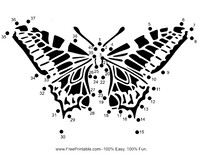 Intricate Butterfly