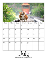 July 2025 Picture Calendar