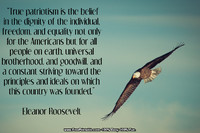 Roosevelt Patriotism Quotation