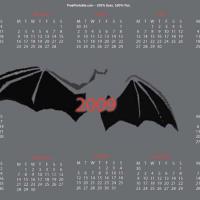 2009 Bat Calendar