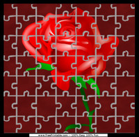 cass cain rose puzzle