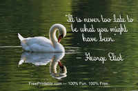 Swan Quotation Eliot