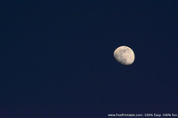 Waxing Moon Photograph