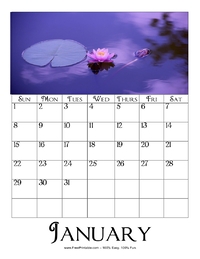 January 2023 Picture Calendar