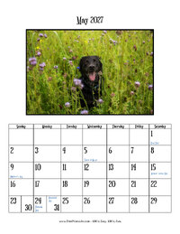 May 2027 Photo Calendar