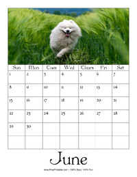 June 2025 Picture Calendar