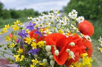 Wildflower Bouquet