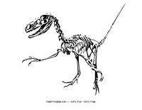 Raptor