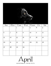 April 2025 Picture Calendar