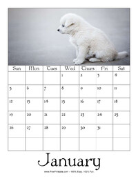 January 2025 Picture Calendar