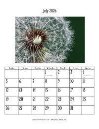 July 2026 Photo Calendar