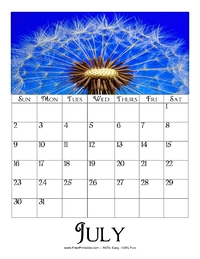 July 2023 Picture Calendar