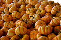 Striped Pumpkins