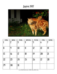 August 2027 Photo Calendar
