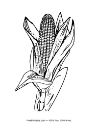 Corn Coloring Page