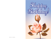 Pink Roses Birthday Card