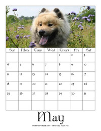 May 2025 Picture Calendar
