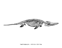 Ichthyosaur