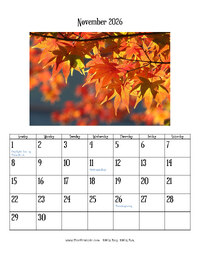 November 2026 Photo Calendar