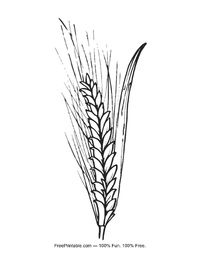 Wheat Harvest Coloring Page