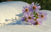 Book Flowers
