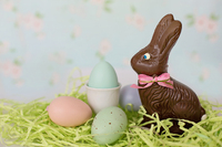 Chocolate Easter Bunny