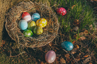 Easter Birds Nest