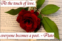 Touch of Love Plato Quotation