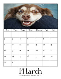 March 2025 Picture Calendar