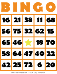 Bingo Card 5