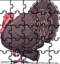 Turkey Puzzle
