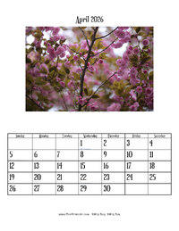 April 2026 Photo Calendar