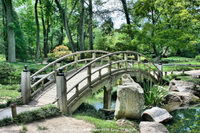 Nature Bridge