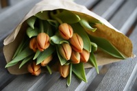 Tulip Bouquet