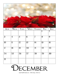 December 2023 Picture Calendar