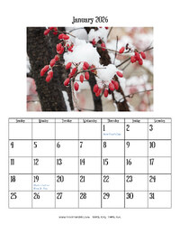 January 2026 Photo Calendar