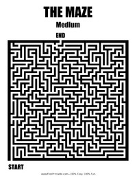 Maze Medium