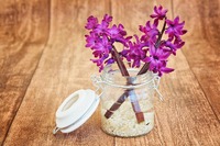 Hyacinth