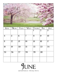 June 2023 Picture Calendar