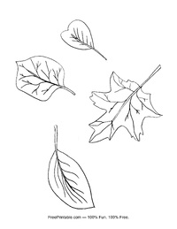Autumn Leaves Coloring Page