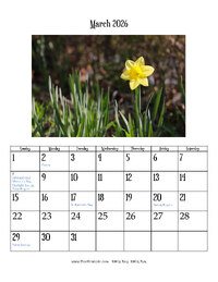 March 2026 Photo Calendar