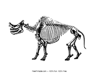 Ice Age Mammal