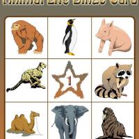 Animal Life Bingo Card 1