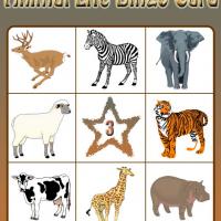 Animal Life Bingo Card 3