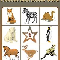 Animal Life Bingo Card 5