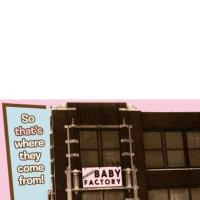 Baby Factory