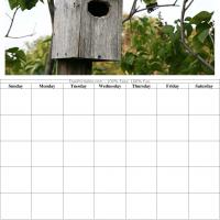 Bird House Blank Calendar