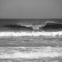 Black And White Waves